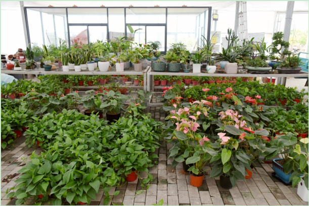 1657696229219533.png DN03V{UHPK0W5QO)}PPX@3H.png